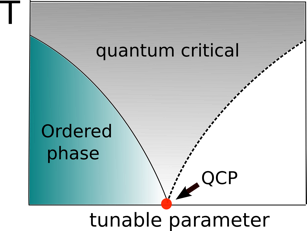 Generic phase diagram with a quantum critical point